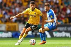 开云体育官网-狼队客场大捷，英超新军引人注目的简单介绍