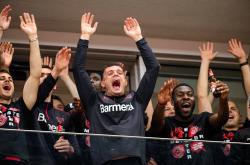 开云体育APP下载-关于沃尔夫斯堡捍卫主场，击败对手的信息