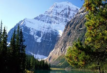 开云体育官网-美网碾压蒙特卡洛大师赛，辛纳惊艳四座的简单介绍