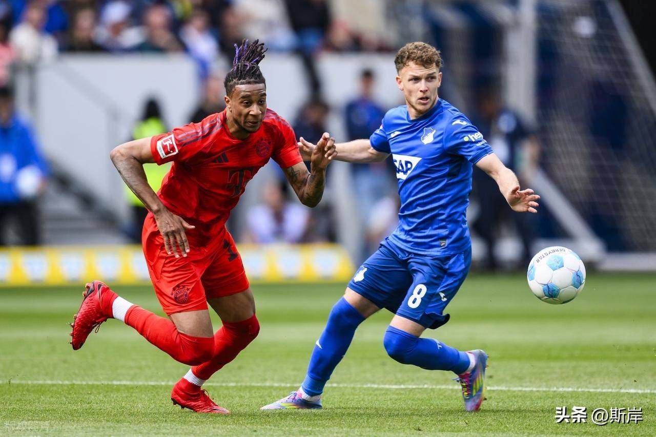 霍芬海姆主场告捷，加强争冠实力的简单介绍