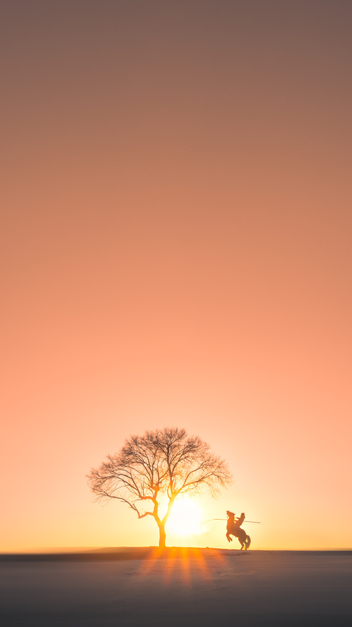 西决生死战焦点战，老鹰争冠战胜出上海队