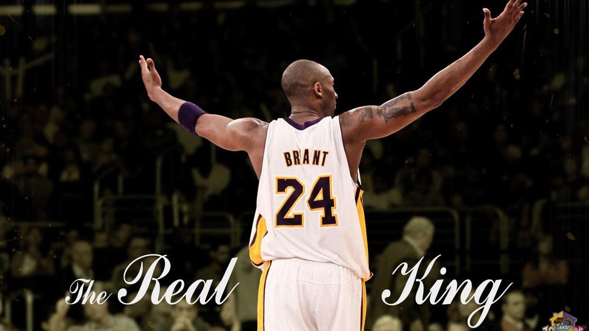 门迪神级扑救封神夜！阿根廷围攻无果，喀麦隆门将当选全场最佳无争议