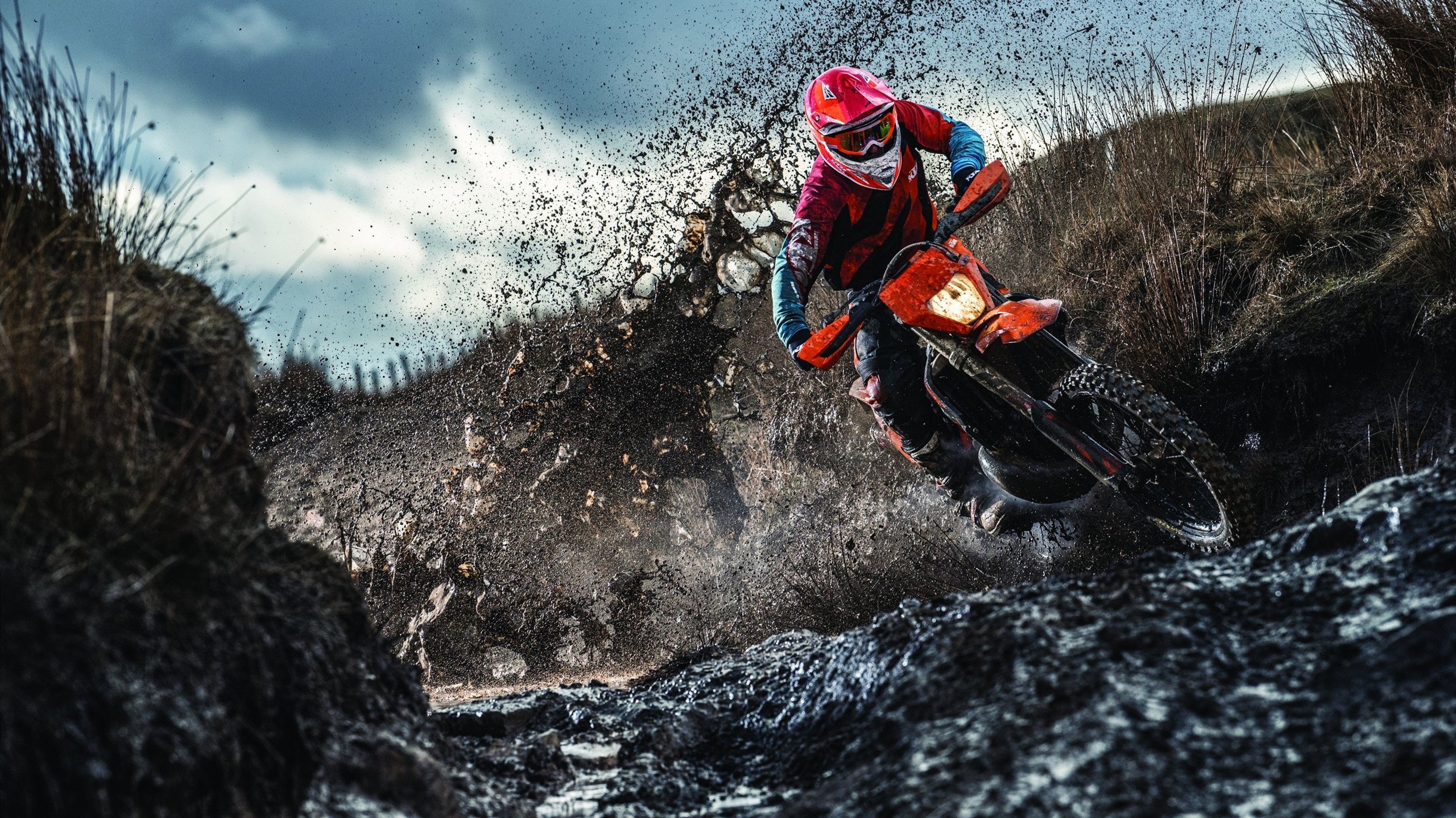 当东方巨龙翱翔费城之巅，广东队淘汰76人的跨洋启示